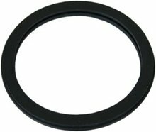 Thermostat Seal