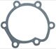 Water Pump Gasket